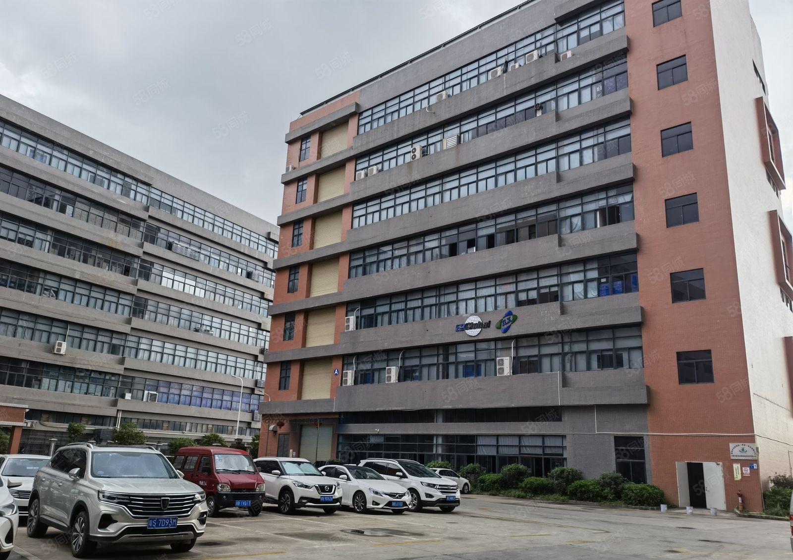 10元起租镇隆园区厂房豪华办公室装修1600平方空地大形象好