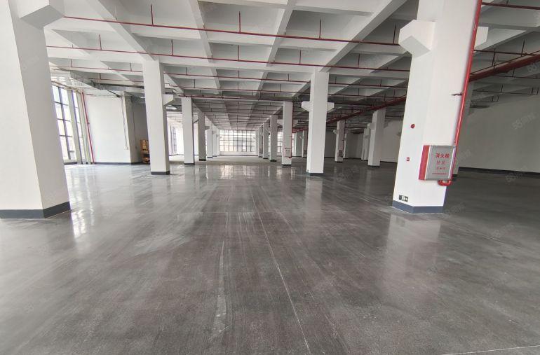 惠阳镇隆原房东全新花园式厂房低价出租 可分租