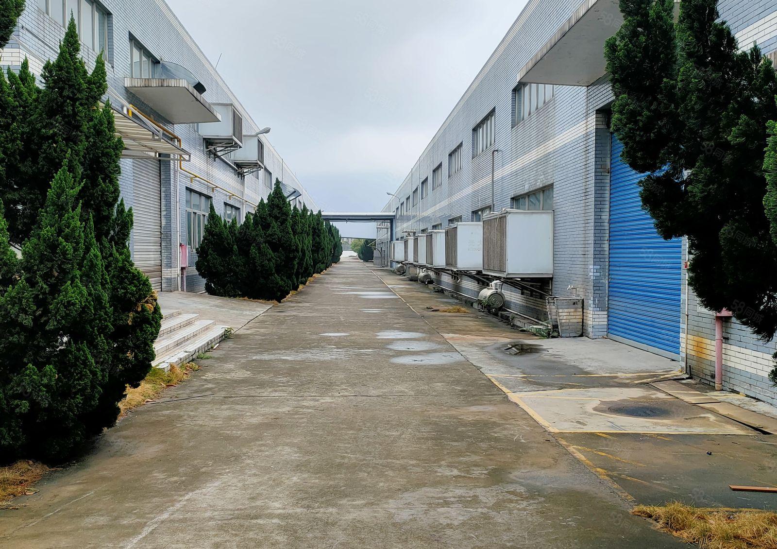 单一层钢结构10000平米出租，可整租或分租