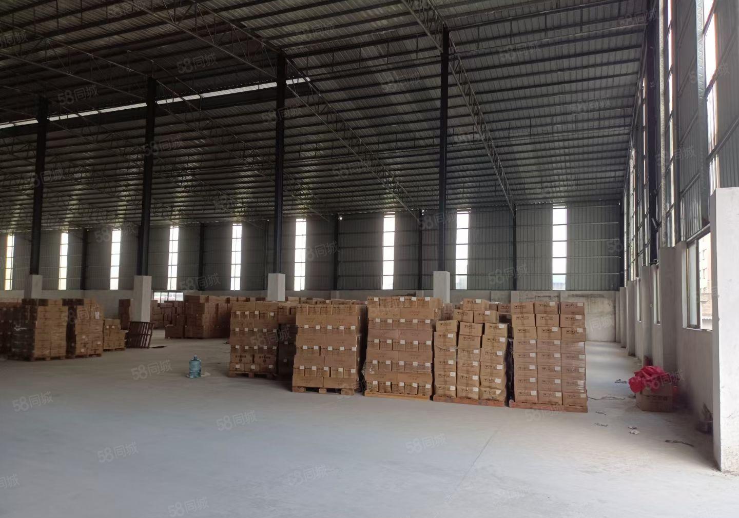 惠州市惠阳区沙田镇工业园区独院钢结构厂房3600平方米 8米