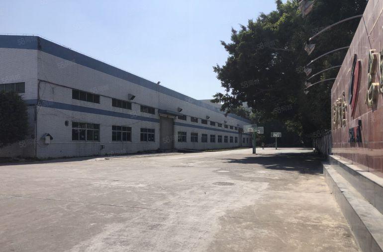 12元！新圩新出3000平单一层厂房仓库出租 层高7米可分租