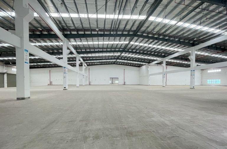 惠阳淡水高速口单一层滴水10米砖墙到顶钢结构厂房仓库低价出租