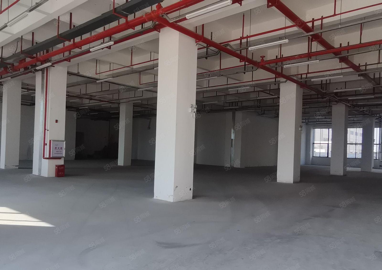 镇隆 原房东单一层滴水10米2万平钢构厂房出租1200平起分