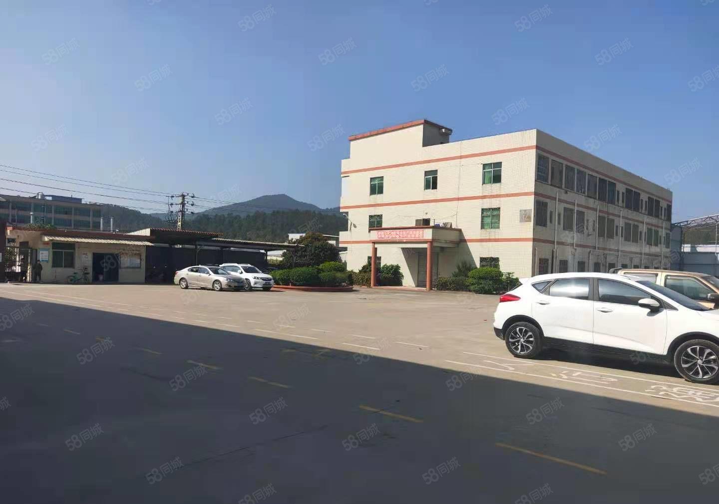 距离深圳8米！惠阳新圩5000方钢构厂房仓库出租高速口大空地