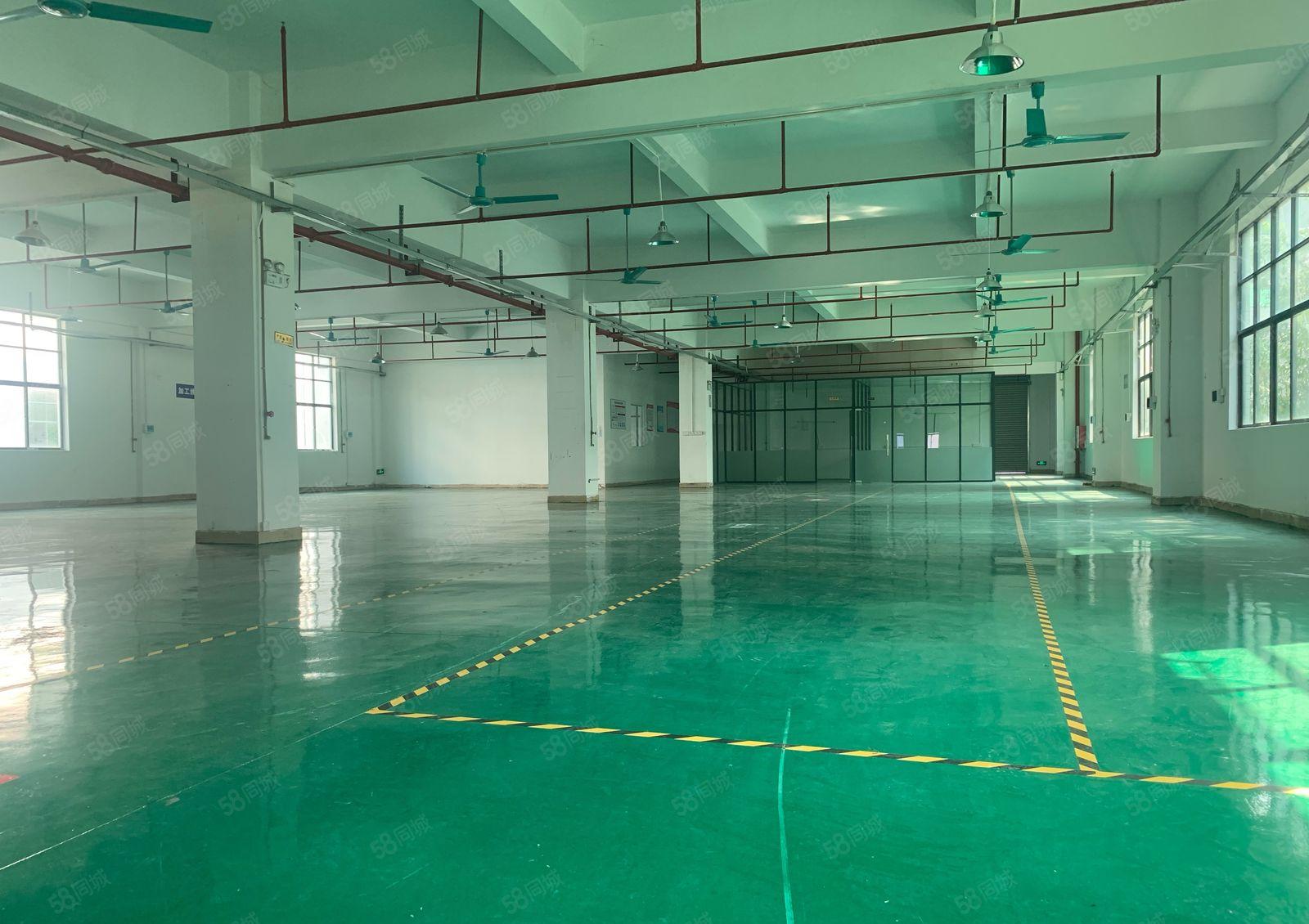 (形象好)惠阳沙田科技园厂房二楼1300平带装修办公室地坪漆