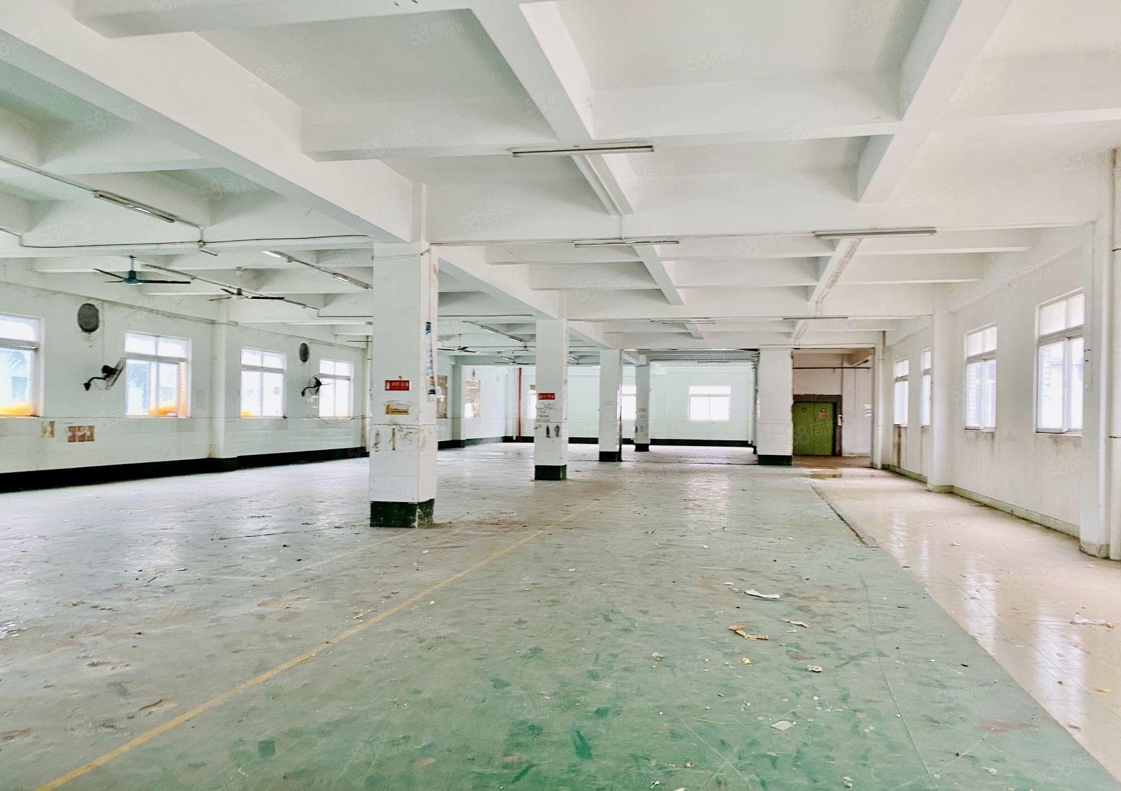 惠阳区镇隆镇高速路口10000平独院标准厂房出租