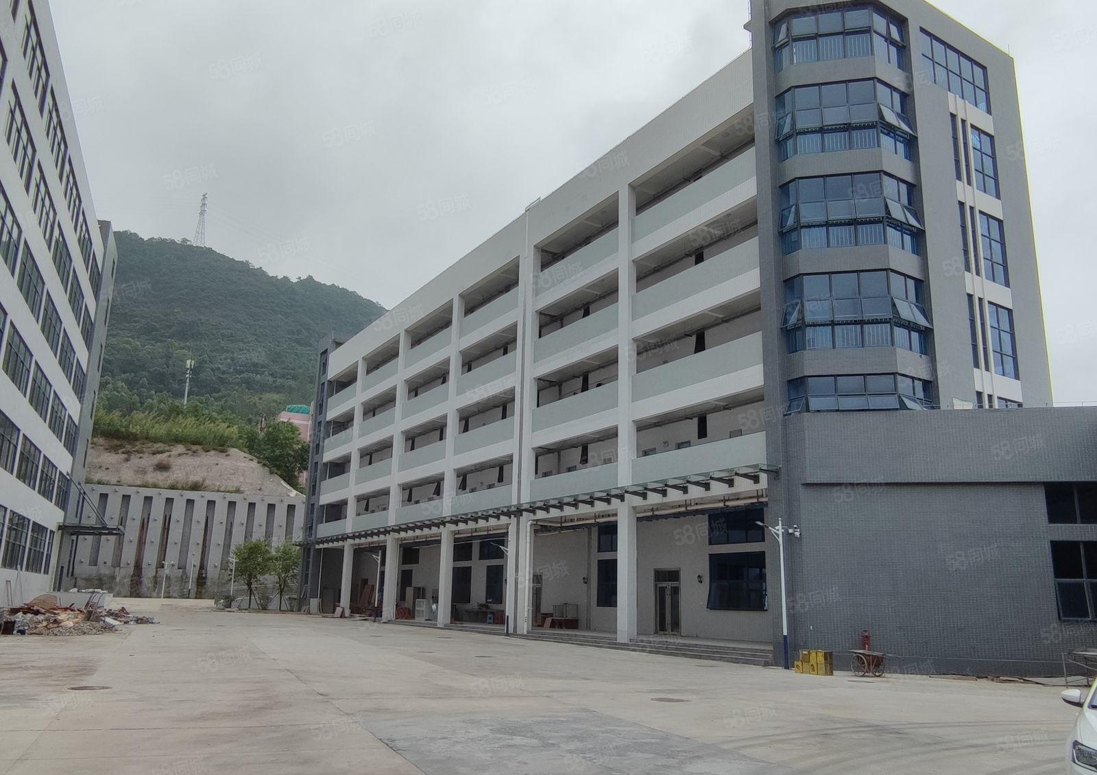 惠阳区新圩镇高速路口附近全新原房东标准厂房68000平厂出租