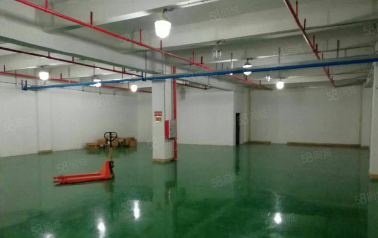 秋长白石新出标准一楼800平方带精装修出租，实际面积