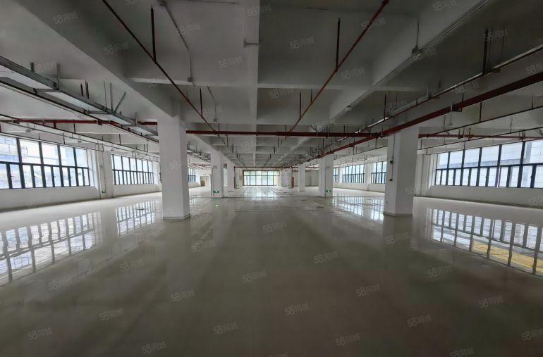 惠阳秋长8000平标准厂房出租大工业园区实际面积红本原房东