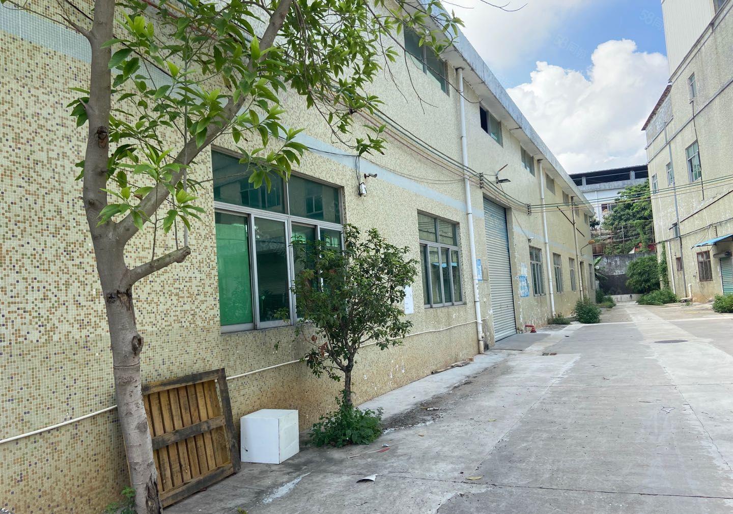 全新钢结构800平方厂房招租，行业不限，可办环评，价格实惠！