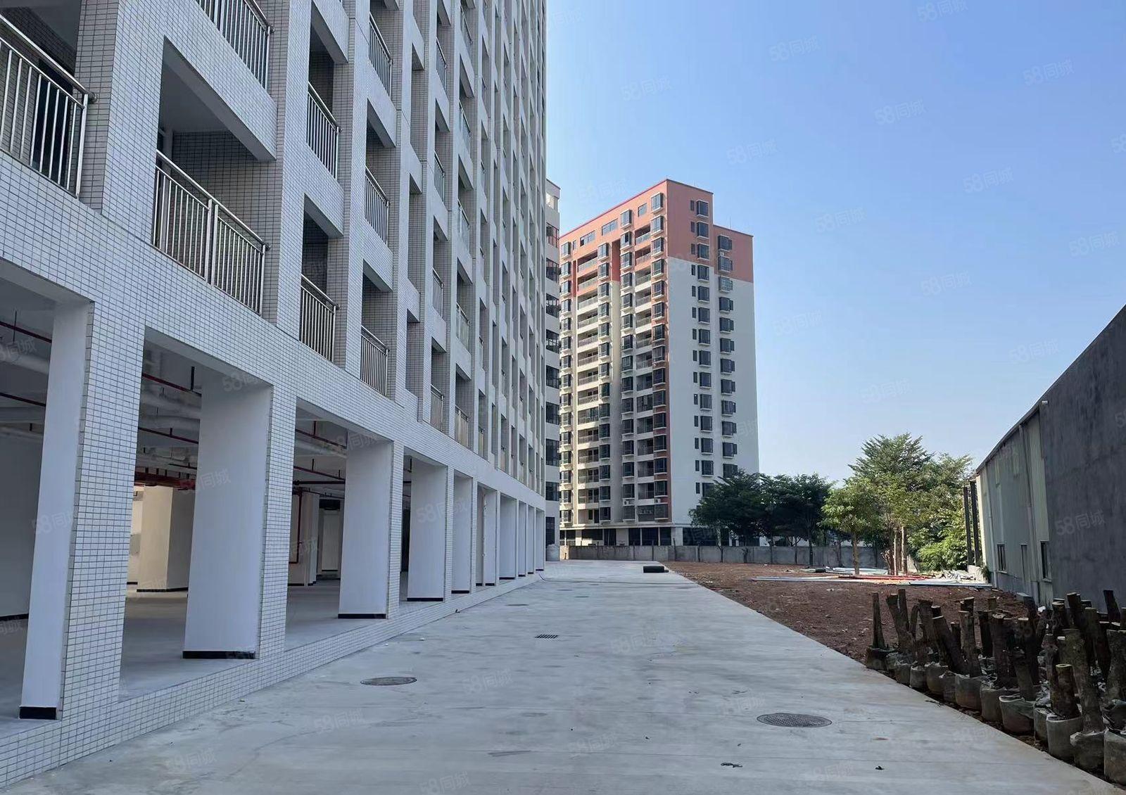 惠州秋长白石1一楼10米高全新红本厂房80000平出租可分租