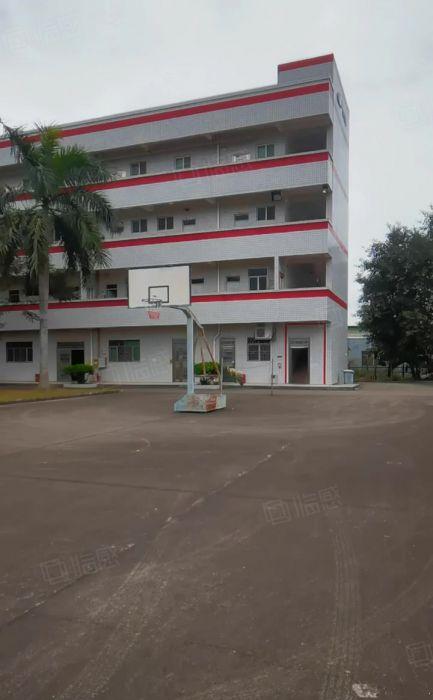 原房东独门独院实用面积13000平方出租