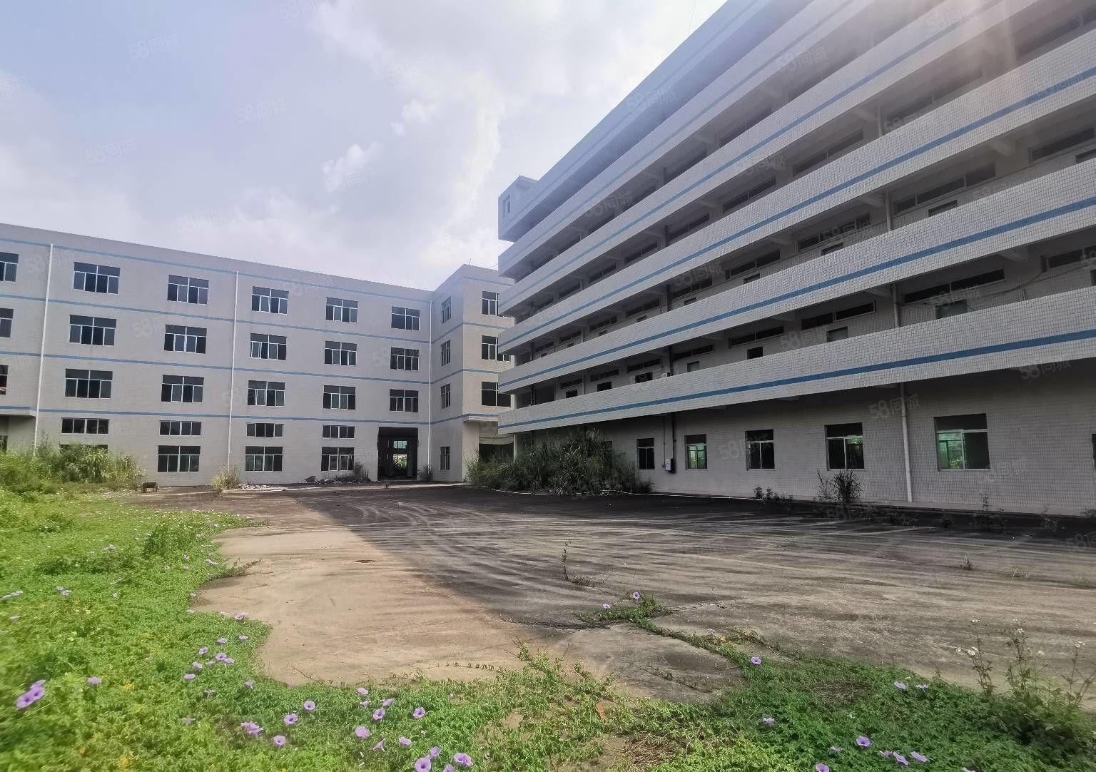 （独院厂房出租）新圩独栋11800平厂房出租，证件齐全可分租