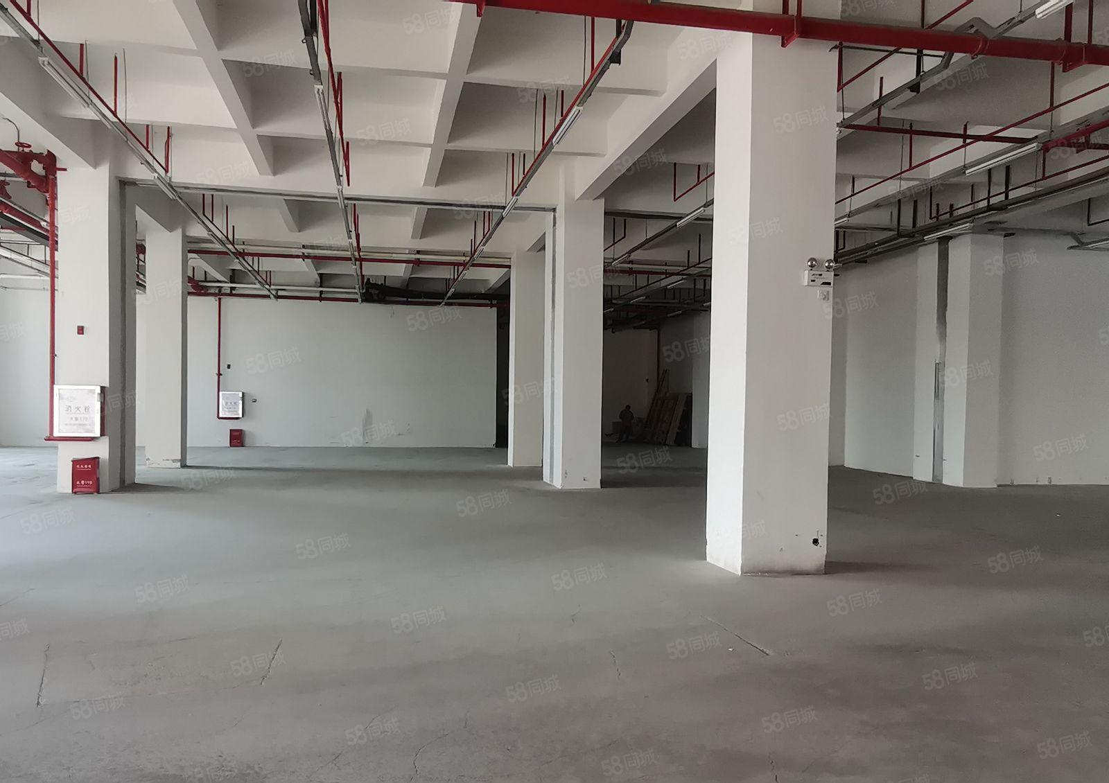 镇隆 原房东单一层滴水10米2万平钢构厂房出租1200平起分