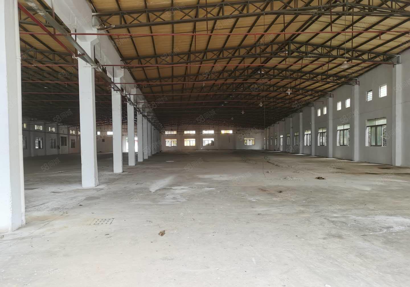 惠阳秋长西湖新出钢构独门独院4600平米厂房可分租