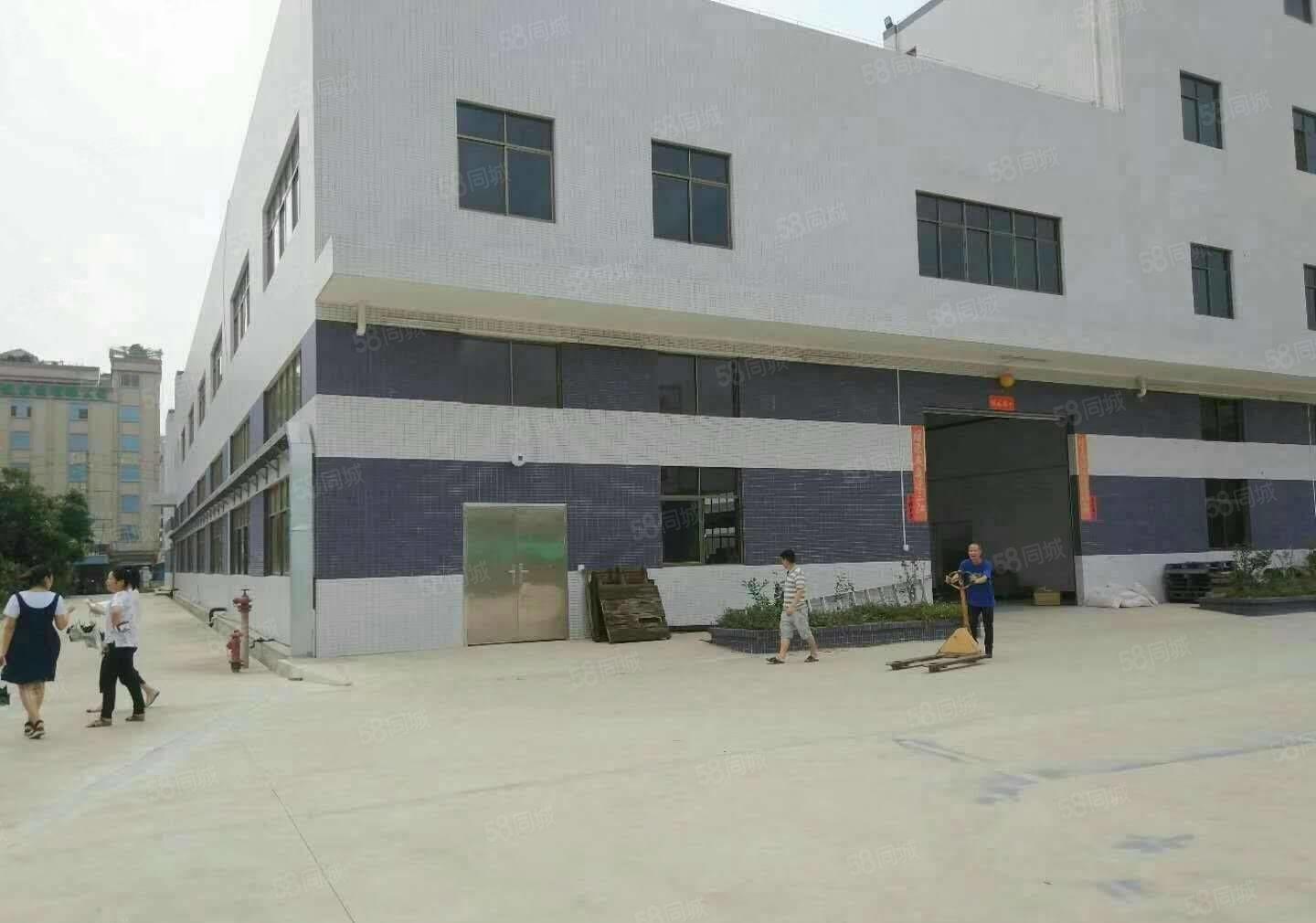 惠阳区新圩独院带装修标准厂房3600平米出租