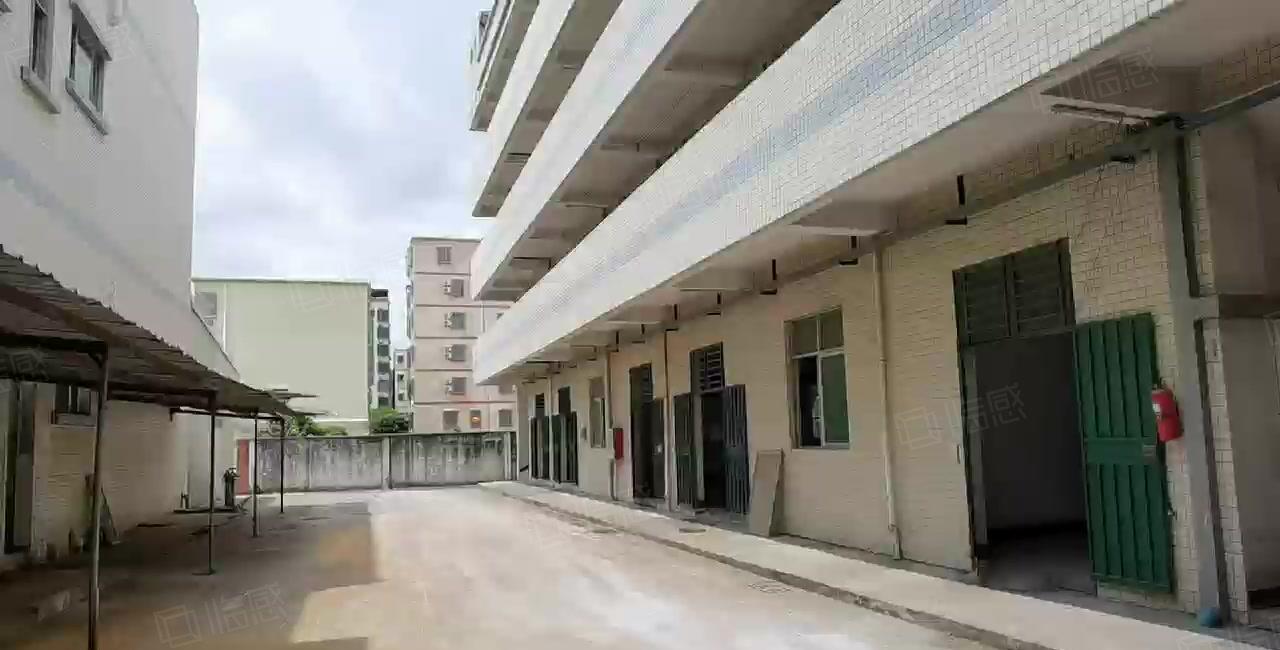 惠州惠阳区镇隆7000平米标准独院厂房原房东实际面积出租