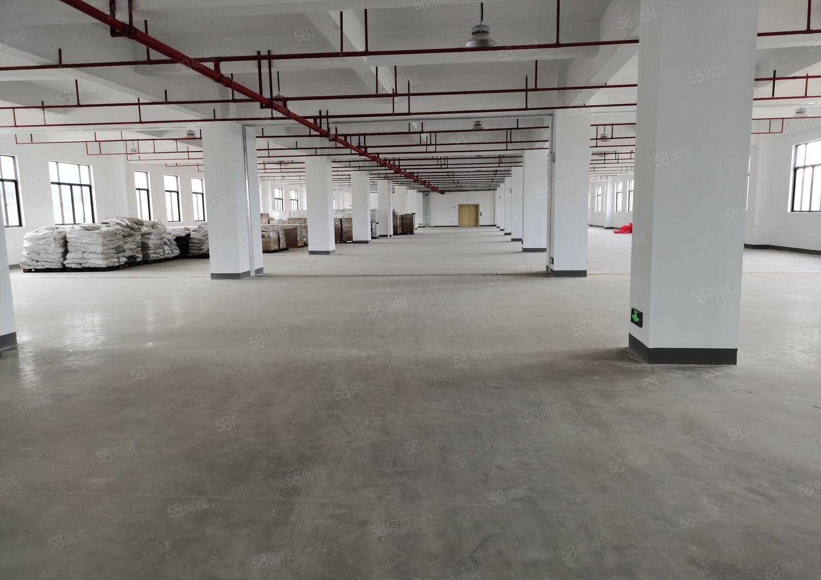 惠阳区三和经济开发区全新厂房面积20000平米出租