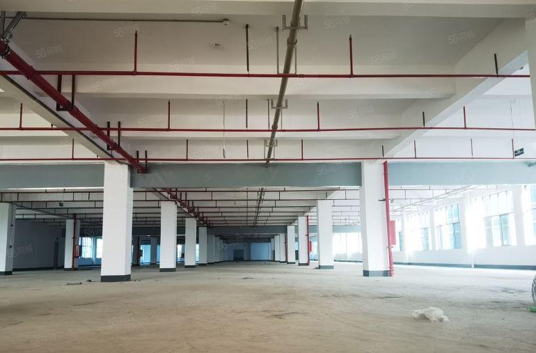 惠州白花原房东（全新厂房）面积32193平米可分租