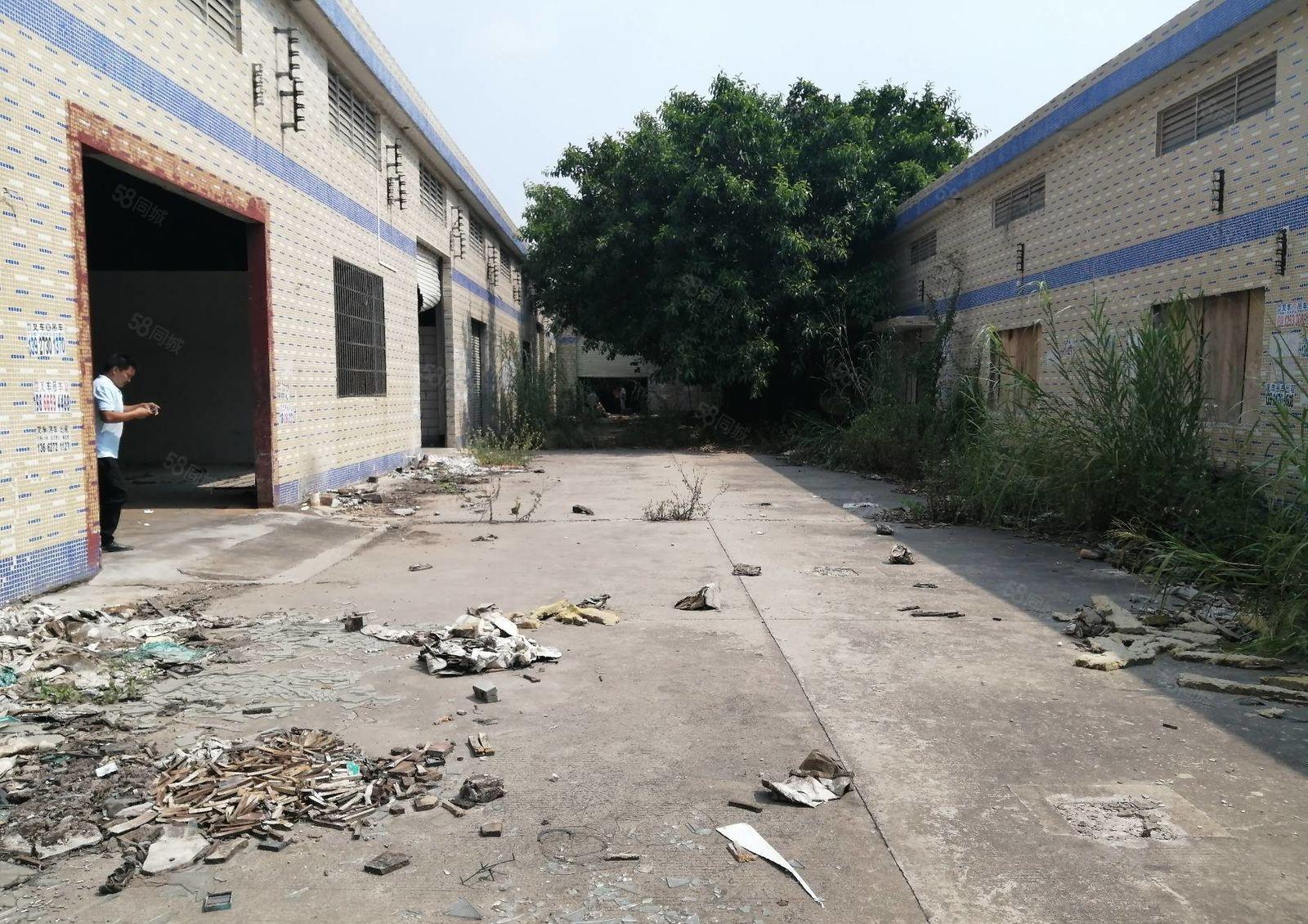 惠阳新出独门独院单一层500平方