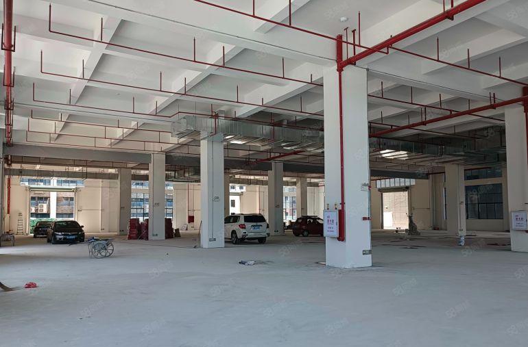 惠阳新圩长布主干道边新出原房东红本独院标准厂房4700平招租