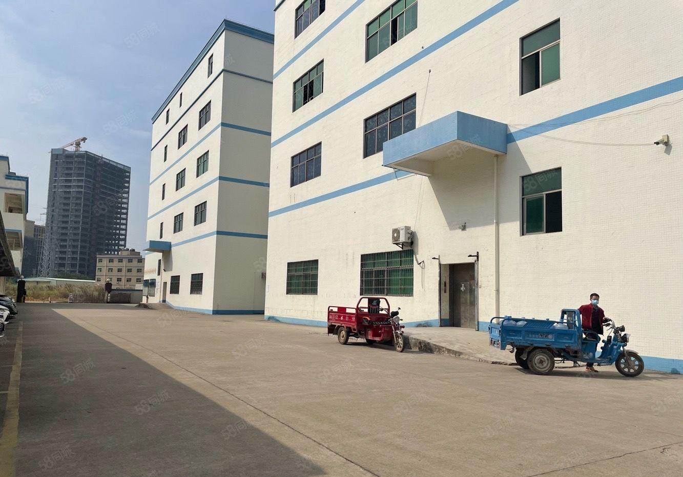 秋长新塘2千平一楼厂房出租 层高6米 证件齐全 形象好