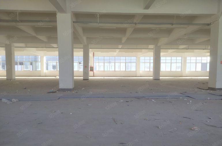 惠州惠阳新圩长布独栋厂房低价出租10000平大小分租交通便利