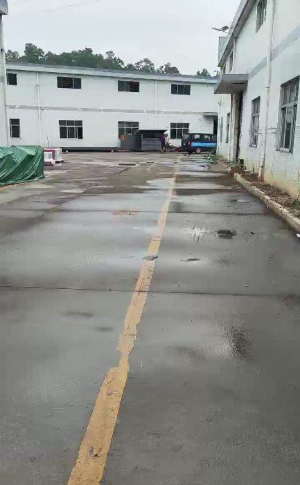 惠州惠阳秋长秋宝路旁单一层钢构厂房低价出租2000平交通便利