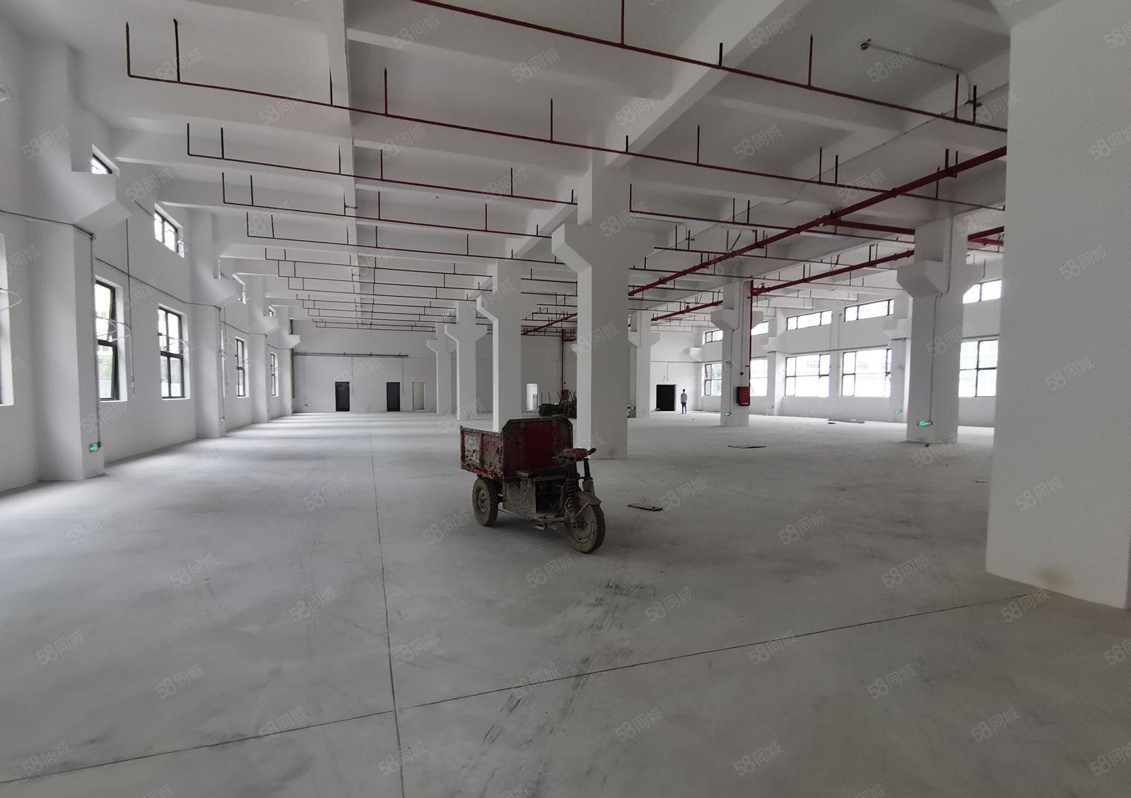 2百5百8百1千平起分租新墟长布工业区独栋2千平仓库厂房出租