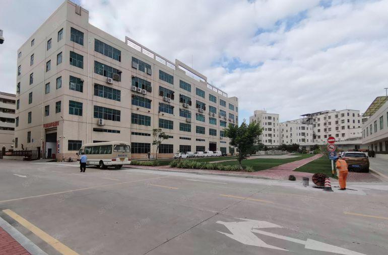 镇隆500平带精装修厂房分租原房东独院厂房出租小面积厂房仓库