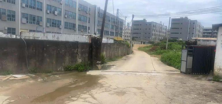 惠阳新圩650平原房东钢构厂房出租15元平月