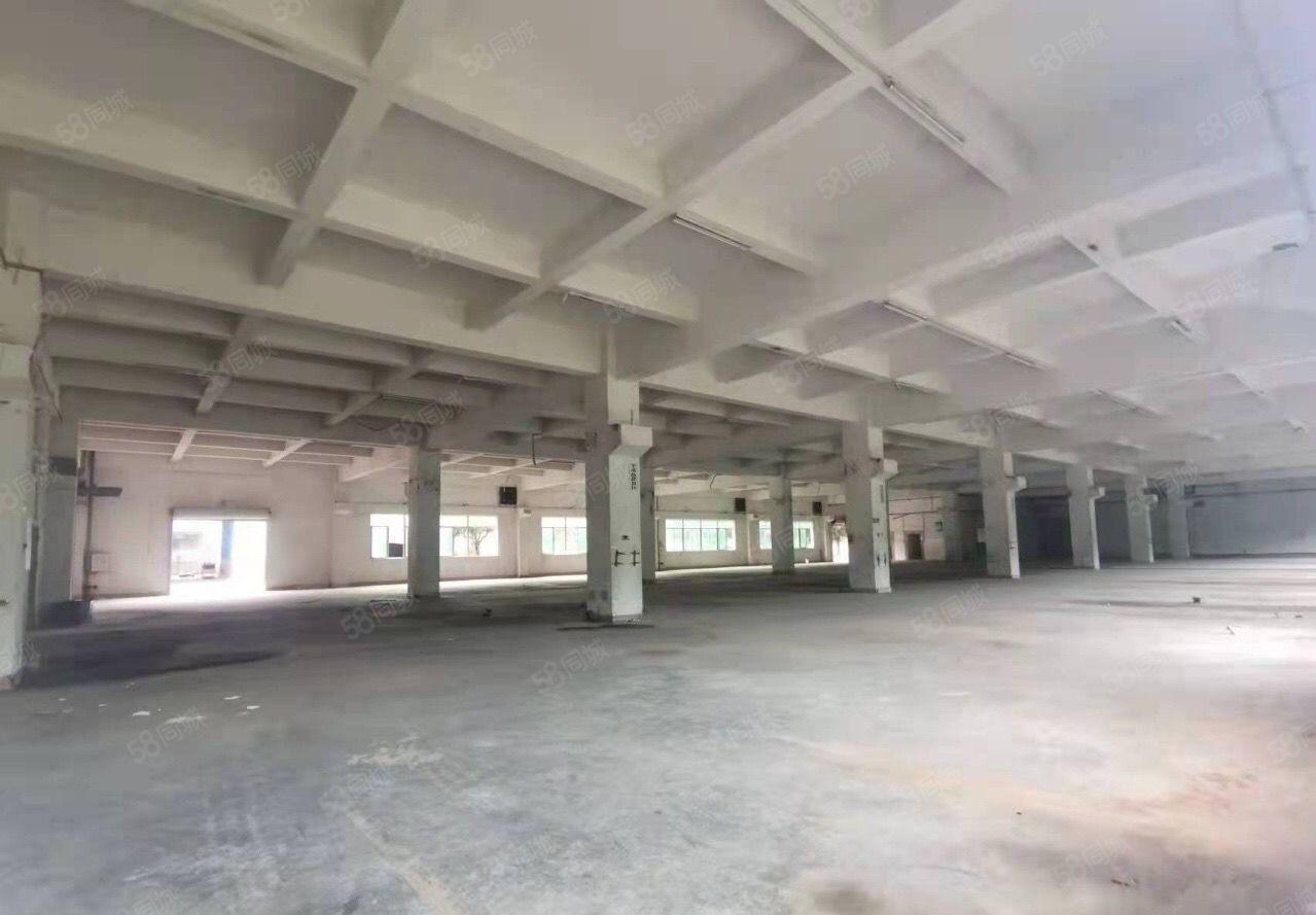 惠阳新圩原房东工业园占地六万平厂房独栋五层30000出租