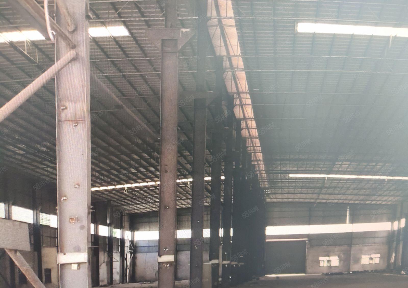 新墟兴达工业园原房东4千平红本钢构仓库厂房出租可分租高10米