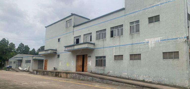 厂房出租沙田超大单一层钢构低价厂房15000平自带五金环评