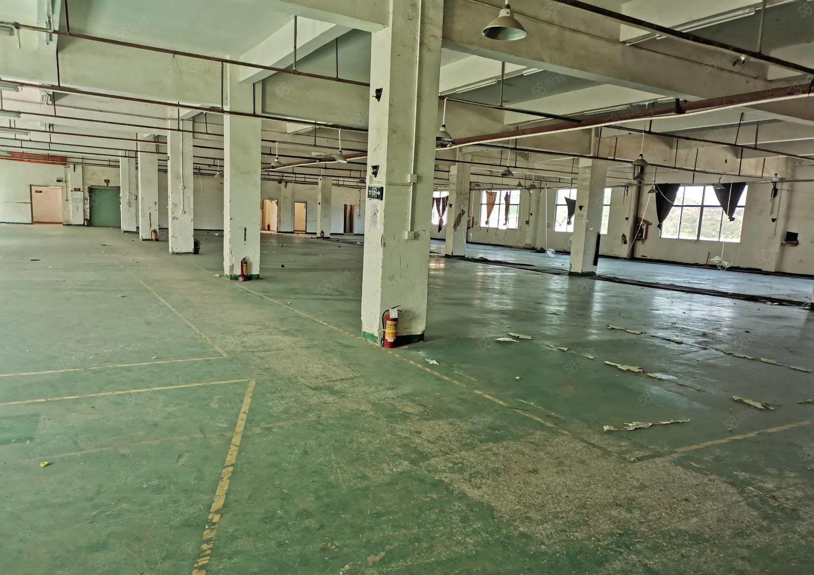 秋长白石新出独院标准厂房5250平一楼层高6.5米可办环评