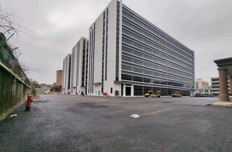 免租期6个月6个月，10元惠阳秋长茶园全新红本厂房仓库8万平