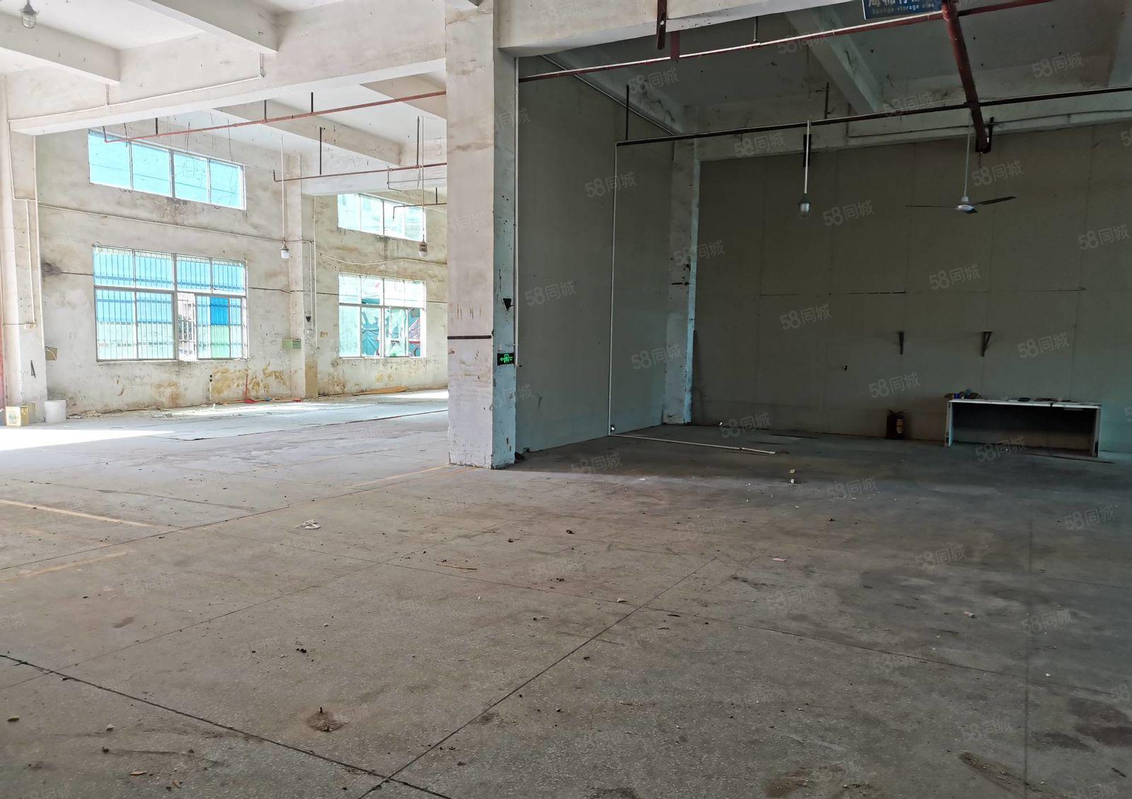 秋长白石新出独院标准厂房5250平一楼层高6.5米可办环评