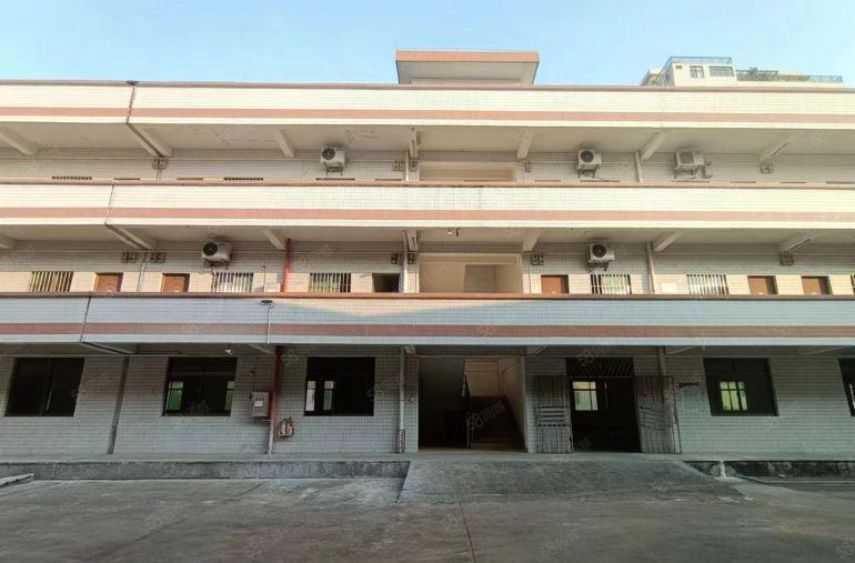 新出13块！！！三和经济开发区滴水8米厂房1000平起分租