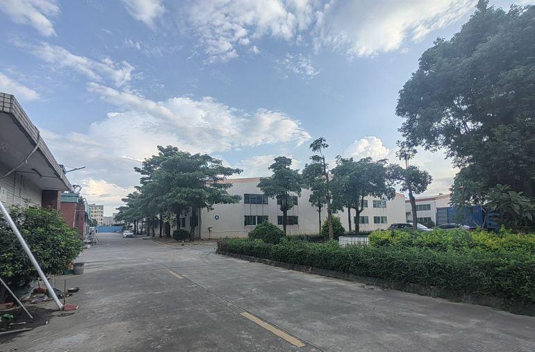 新圩高8米钢构厂房出租1300平也可仓库出租配电630空地大