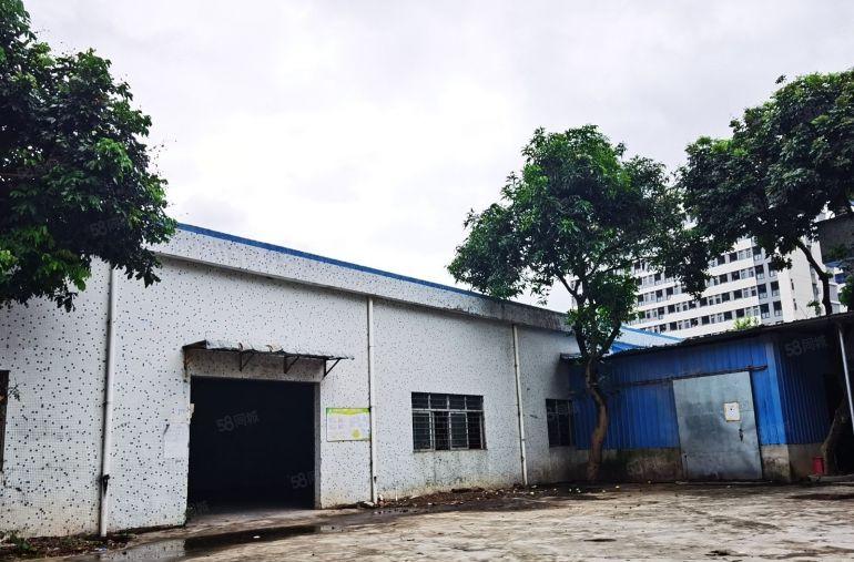 维布出租独门独院钢构厂房1100平米