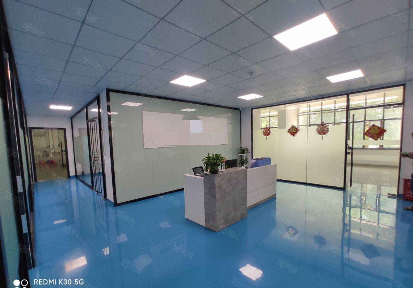 沙田镇长龙岗工业区全新2000标准无尘车间厂房出租，可分租