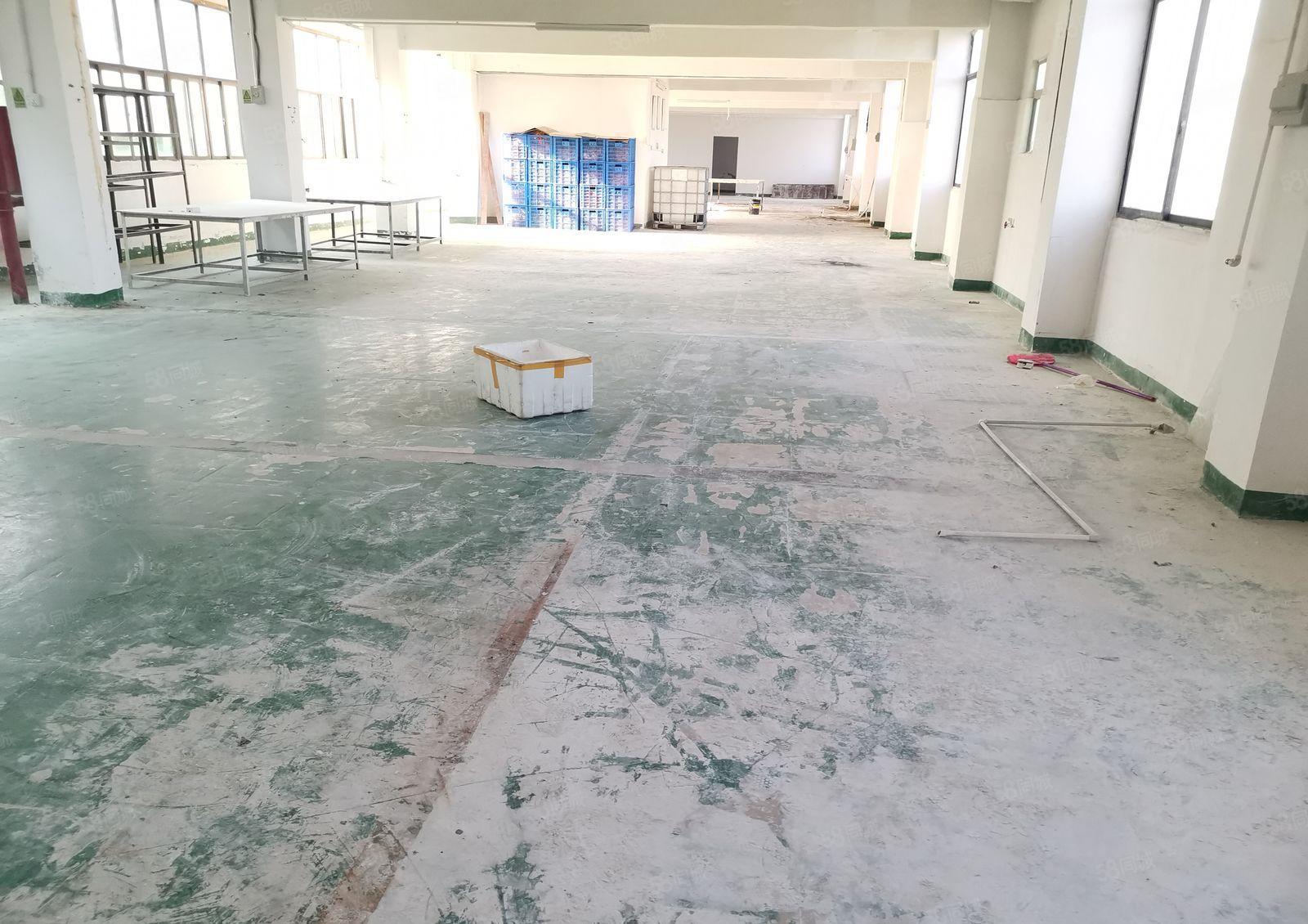 可做喷油！秋长新塘原房东标准厂房4楼600平便宜出租