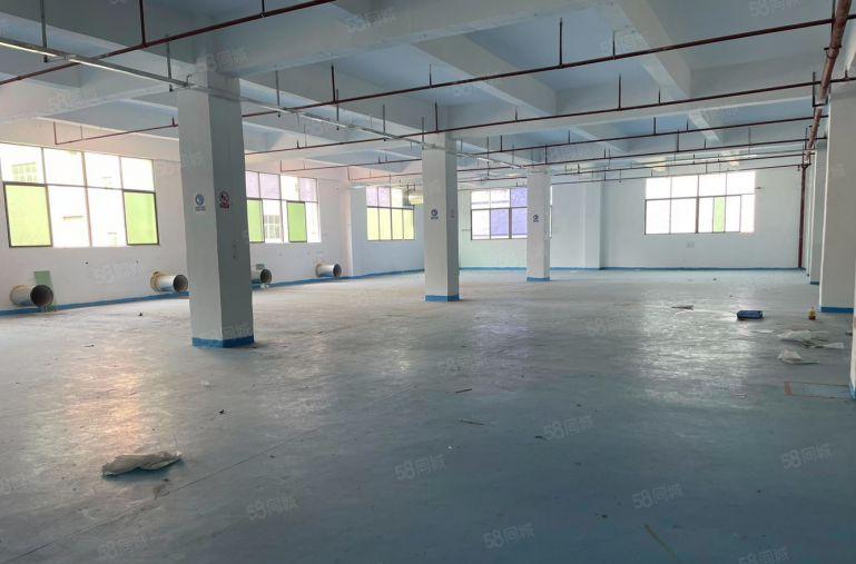 新圩长布原房东独门独院5000平厂房低价出租带现成装修