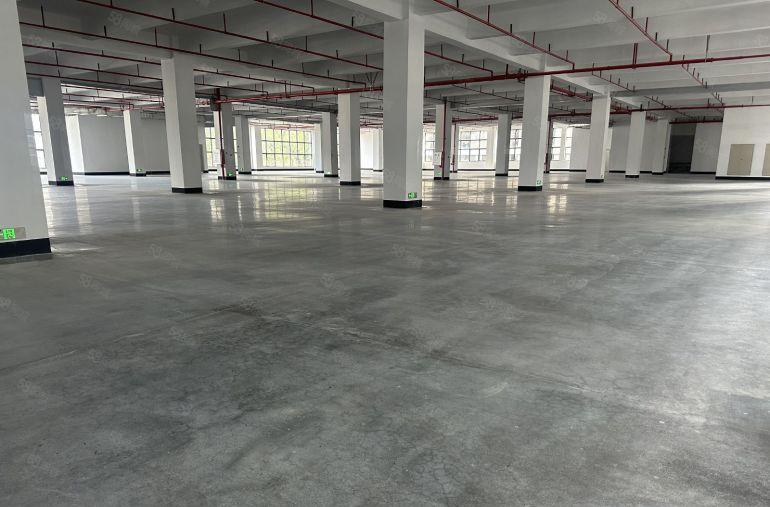 惠州惠阳镇隆原房东厂房 出租9000平单价9元，价格10元