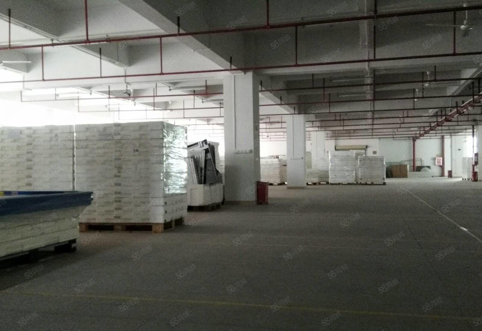 惠阳镇隆甘陂村工业园二楼1928平米带装修的标准厂房出租