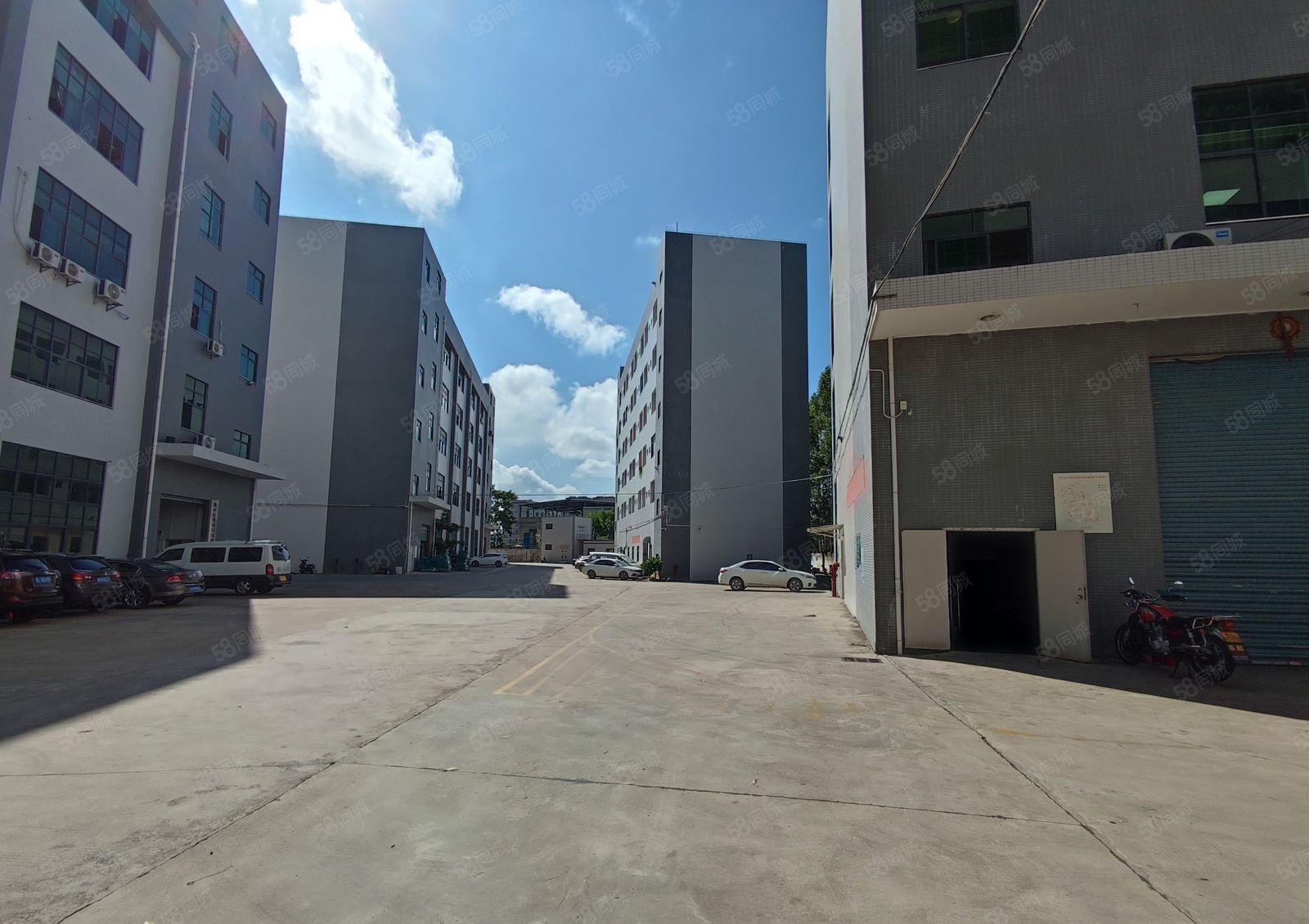 （精装修，无转让费）淡水白云坑一手业主红本工业园招租！