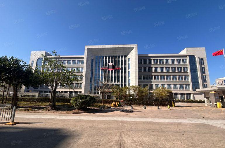 镇隆单价8块，带装修，主线到位，条件好谈，建筑面积出租