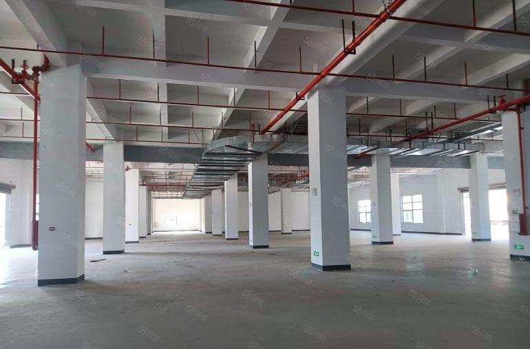 全新10000平独门独院标准厂房出租