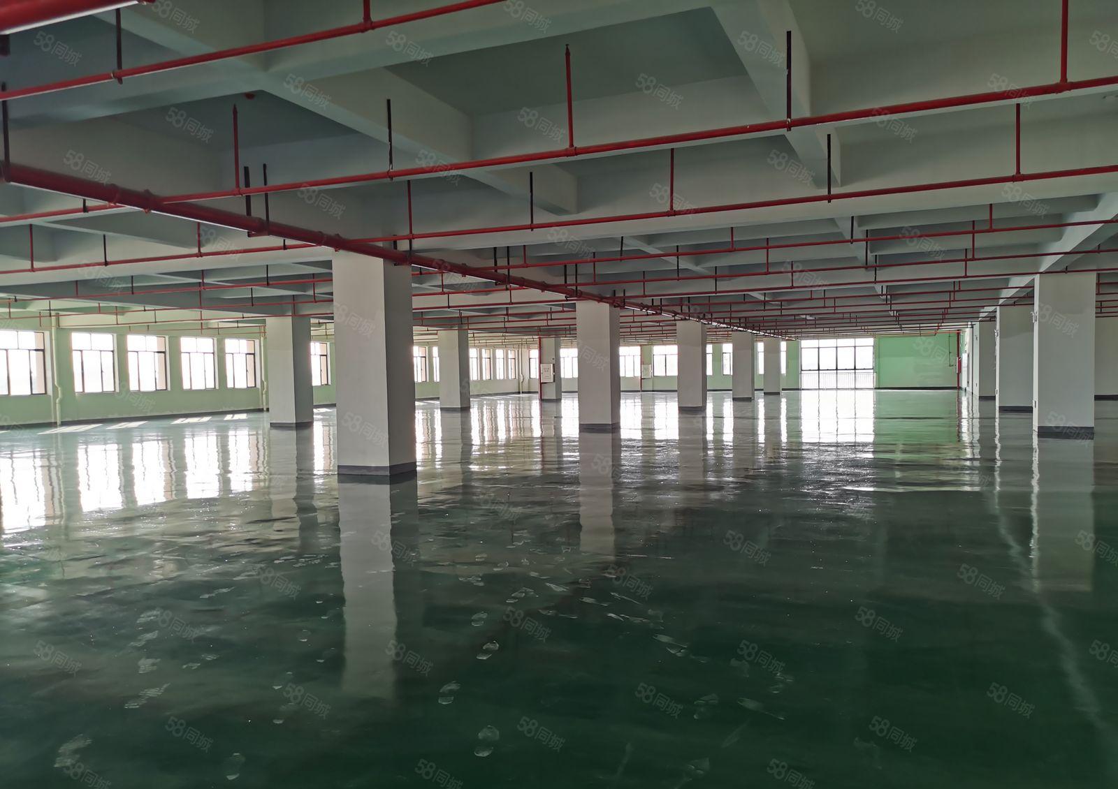 惠阳区秋长独院标准厂房面积15000平米出租