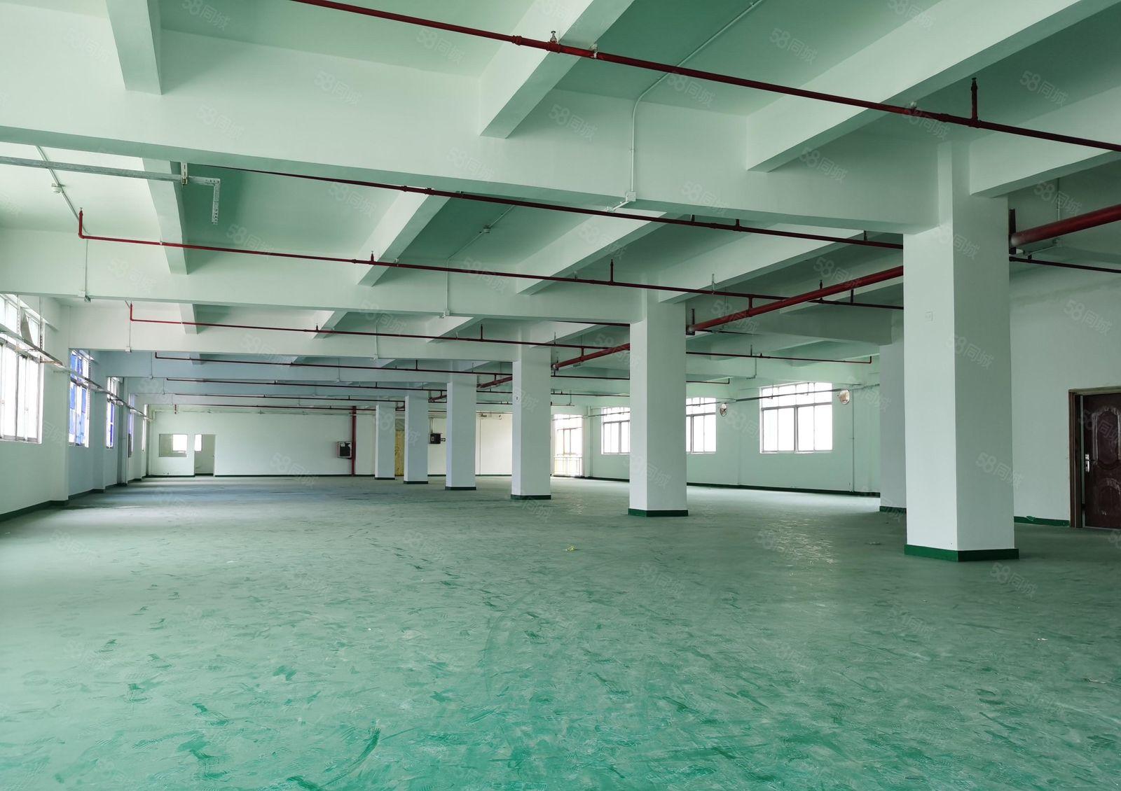 （新出）惠阳原房大型成熟工业园21500平米红本厂房 可分租